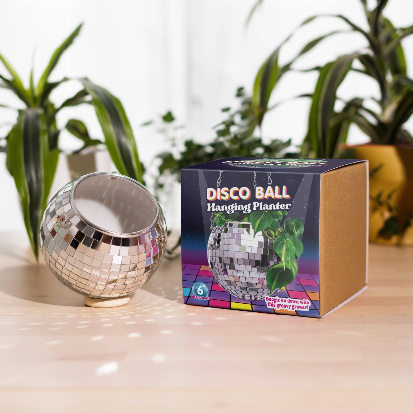 Disco Ball hangende plantenbak (6 inch)