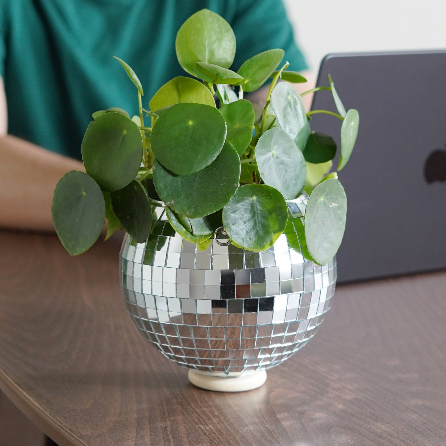 Disco Ball hangende plantenbak (6 inch)