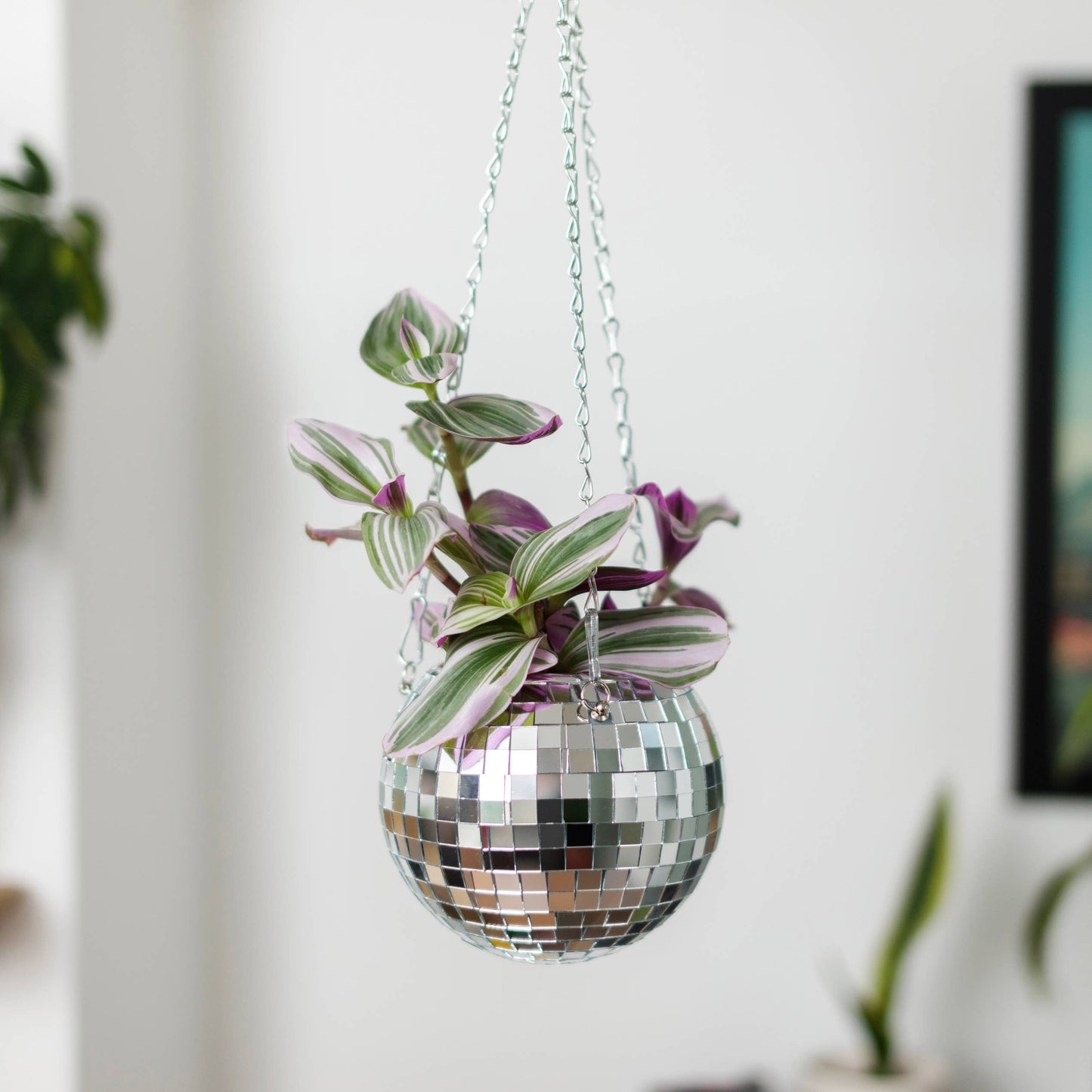 Disco Ball hangende plantenbak (6 inch)