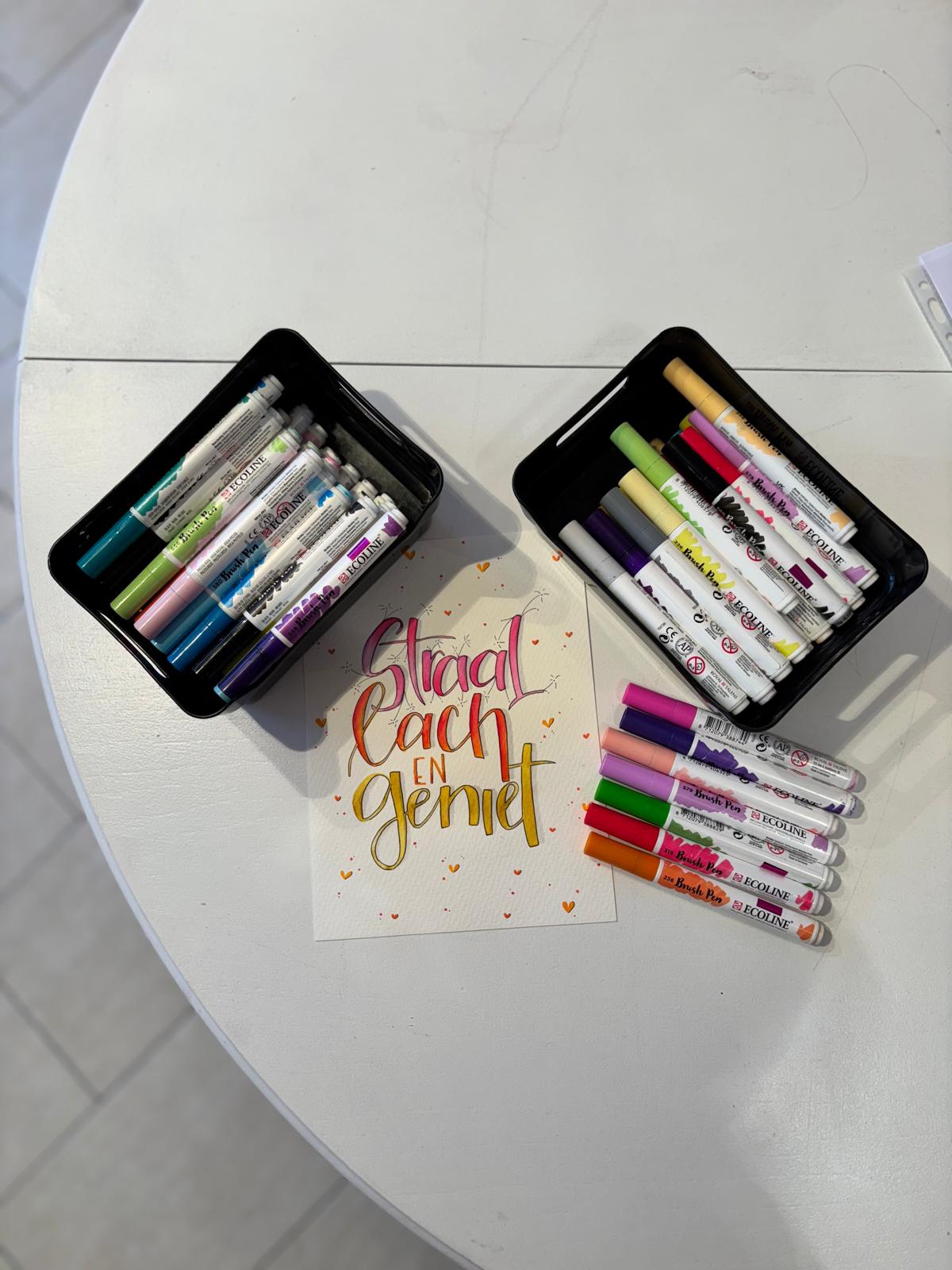 Workshop ecoline brushletteren