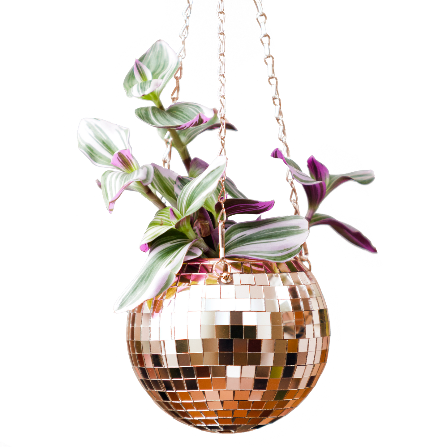 Disco Ball hangende plantenbak - roségoud (6 inch)