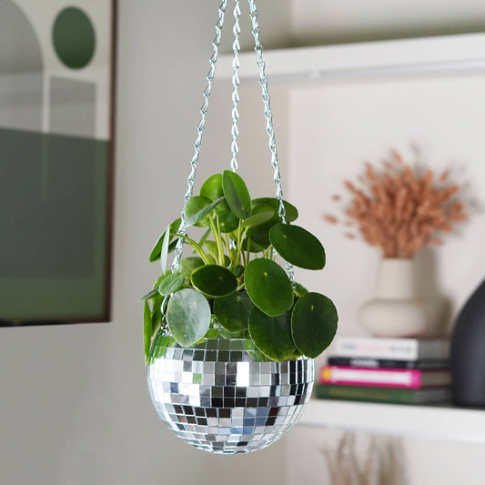 Disco Ball hangende plantenbak (6 inch)